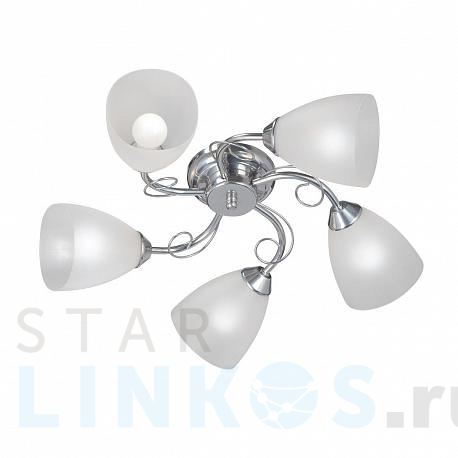 Купить Потолочная люстра Vitaluce V3886-9/5PL за 4 754 руб. в Туле фото 2 Купить с доставкой Потолочная люстра Vitaluce V3886-9/5PL в Туле фото 2