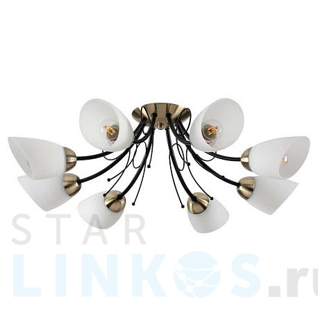 Купить Потолочная люстра Lumion Comfi Eliana 4592/8C за 11 200 руб. в Туле фото 2 Купить с доставкой Потолочная люстра Lumion Comfi Eliana 4592/8C в Туле фото 2