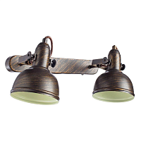 Купить Спот Arte Lamp Martin A5213AP-2BR в Туле