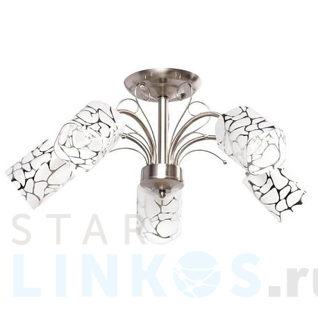 Купить Потолочная люстра MW-Light Олимпия 261019505 за 10 240 руб. в Туле фото 2 Купить с доставкой Потолочная люстра MW-Light Олимпия 261019505 в Туле фото 2