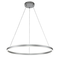 Купить Подвесной светодиодный светильник Indigo Galass 14001/1P Silver V000018L в Туле