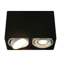 Купить Потолочный светильник Arte Lamp A5655PL-2BK в Туле