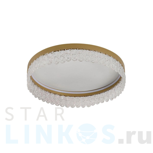 Купить Потолочный светодиодный светильник F-Promo Lunetta 4186-1C за 18 500 руб. в Туле Купить с доставкой Потолочный светодиодный светильник F-Promo Lunetta 4186-1C в Туле