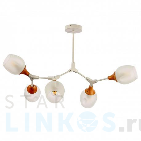 Купить Потолочная люстра Evoluce Ciotolla SLE113502-05 за 12 290 руб. в Туле фото 2 Купить с доставкой Потолочная люстра Evoluce Ciotolla SLE113502-05 в Туле фото 2