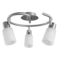 Купить Спот Arte Lamp A4510PL-3SS в Туле