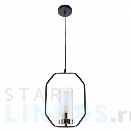 Купить Подвесной светильник Arte Lamp Celaeno A7004SP-1BK за 3 990 руб. в Туле фото 2 Купить с доставкой Подвесной светильник Arte Lamp Celaeno A7004SP-1BK в Туле фото 2