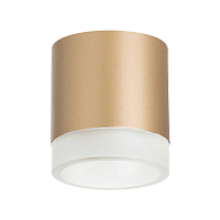 Купить Потолочный светильник Lightstar Rullo (213490+202480) R349080 в Туле