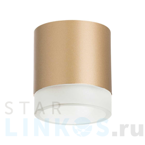 Купить с доставкой Потолочный светильник Lightstar Rullo (213490+202480) R349080 в Туле