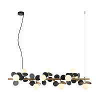 Купить Подвесная люстра Lumien Hall Ilmari LH4136/12PO-BR-BK в Туле