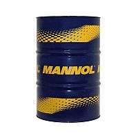 Моторное масло Mannol 2-Takt Premium Outboard, синтетическое, 208 л (1981)