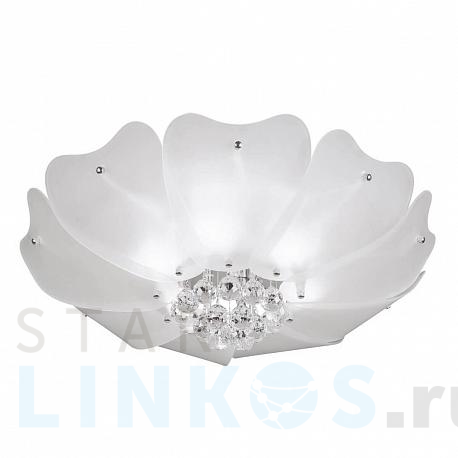 Купить Потолочный светильник Lightstar Lobo 804020 за 31 785 руб. в Туле фото 2 Купить с доставкой Потолочный светильник Lightstar Lobo 804020 в Туле фото 2