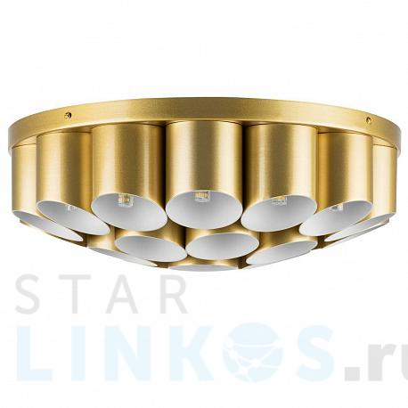 Купить Потолочная люстра Lightstar Siena 720222 за 39 000 руб. в Туле фото 2 Купить с доставкой Потолочная люстра Lightstar Siena 720222 в Туле фото 2