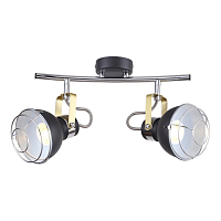 Купить Спот Escada 1135/2A в Туле