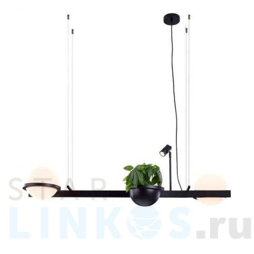 Купить Подвесной светильник Imperium Loft Palma 204172-22 за 32 120 руб. в Туле Купить с доставкой Подвесной светильник Imperium Loft Palma 204172-22 в Туле