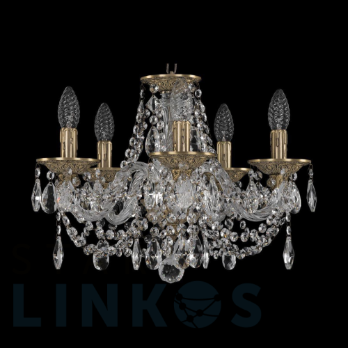 Купить Подвесная люстра Bohemia Ivele 16106/5/141 FP за 62 112 руб. в Туле Купить с доставкой Подвесная люстра Bohemia Ivele 16106/5/141 FP в Туле