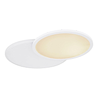 Купить Потолочный светодиодный светильник Globo Samu 48124D1 в Туле