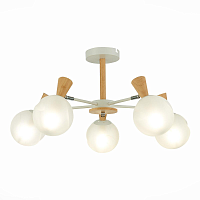 Купить Потолочная люстра Evoluce Catania SLE220702-05 в Туле