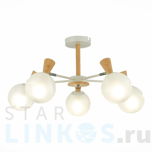 Купить Потолочная люстра Evoluce Catania SLE220702-05 за 11 330 руб. в Туле Купить с доставкой Потолочная люстра Evoluce Catania SLE220702-05 в Туле