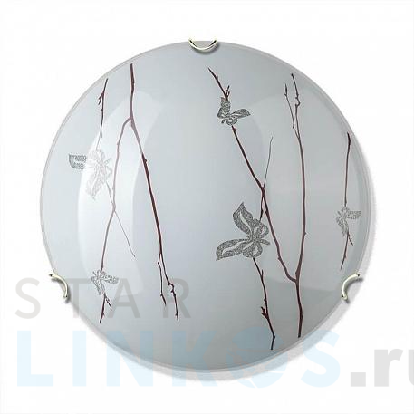 Купить Настенно-потолочный светильник Vitaluce V6411/2A за 1 589 руб. в Туле фото 2 Купить с доставкой Настенно-потолочный светильник Vitaluce V6411/2A в Туле фото 2