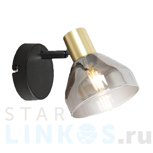 Купить Спот Rivoli Kinge 7036-701 Б0052874 за 2 238 руб. в Туле Купить с доставкой Спот Rivoli Kinge 7036-701 Б0052874 в Туле