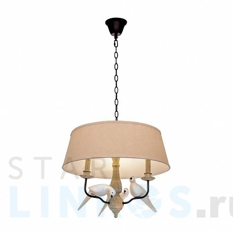 Купить Подвесная люстра Loft IT Birds Loft1029A-2 за 24 670 руб. в Туле фото 2 Купить с доставкой Подвесная люстра Loft IT Birds Loft1029A-2 в Туле фото 2