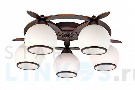 Купить Потолочная люстра Omnilux OML-50507-05 за 11 240 руб. в Туле фото 2 Купить с доставкой Потолочная люстра Omnilux OML-50507-05 в Туле фото 2