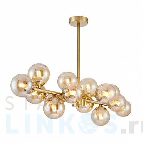 Купить Подвесная люстра Favourite Varietas 2649-14P за 33 600 руб. в Туле фото 2 Купить с доставкой Подвесная люстра Favourite Varietas 2649-14P в Туле фото 2