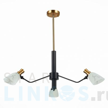 Купить Подвесная люстра Evoluce Lita SLE205403-03 за 13 370 руб. в Туле фото 2 Купить с доставкой Подвесная люстра Evoluce Lita SLE205403-03 в Туле фото 2