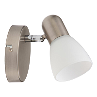 Купить Спот Toplight Violet TL1231Y-01SN в Туле