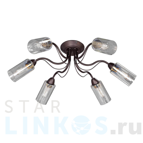 Купить Потолочная люстра Vitaluce V3744-8/6PL за 5 504 руб. в Туле Купить с доставкой Потолочная люстра Vitaluce V3744-8/6PL в Туле