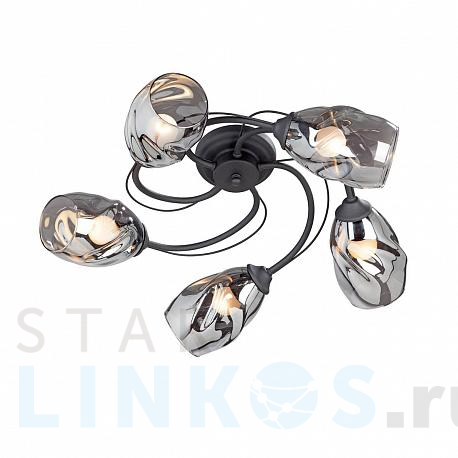 Купить Потолочная люстра Vitaluce V4937-1/5PL за 7 646 руб. в Туле фото 2 Купить с доставкой Потолочная люстра Vitaluce V4937-1/5PL в Туле фото 2