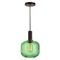 Купить Подвесной светильник Lumion Suspentioni Merlin 4462/1 в Туле