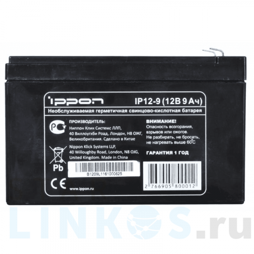 Купить с доставкой Батарея Ippon IP12-9 в Туле фото 2