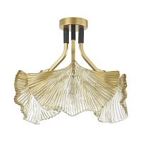 Купить Потолочная люстра Odeon Light Hall Ventaglio 4870/3C в Туле