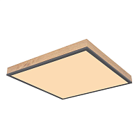 Купить Потолочный светодиодный светильник Globo Doro 416080WD2 в Туле