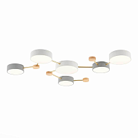 Купить Потолочный светильник Evoluce DOSSENA SLE600102-06 в Туле