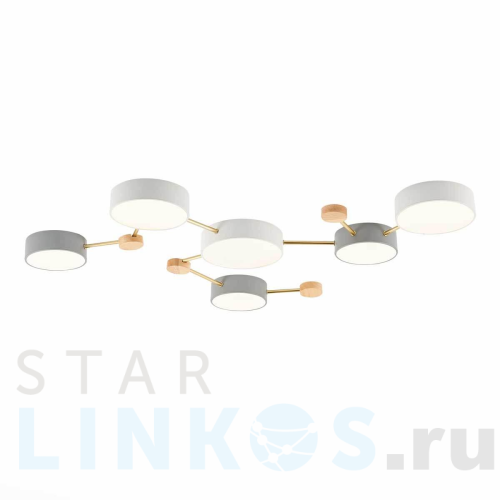 Купить Потолочный светильник Evoluce DOSSENA SLE600102-06 за 19 950 руб. в Туле Купить с доставкой Потолочный светильник Evoluce DOSSENA SLE600102-06 в Туле