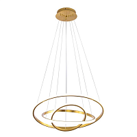 Купить Подвесная светодиодная люстра Aployt Janina APL.018.13.60 в Туле