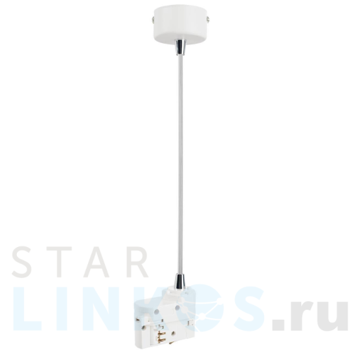 Купить Питание подвесное Lightstar Barra 504296 за 250 руб. в Туле Купить с доставкой Питание подвесное Lightstar Barra 504296 в Туле