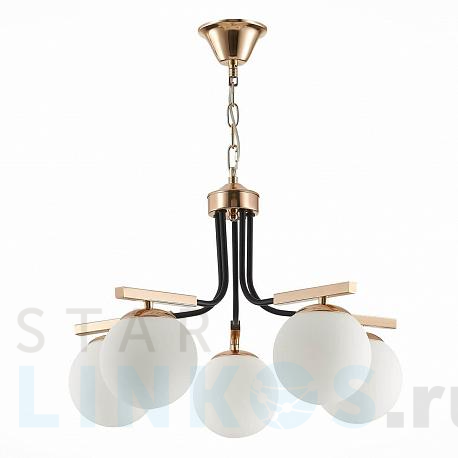Купить Подвесная люстра Evoluce Sonco SLE106803-05 за 14 610 руб. в Туле фото 2 Купить с доставкой Подвесная люстра Evoluce Sonco SLE106803-05 в Туле фото 2