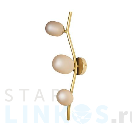 Купить Настенный светильник Loft IT Sakura 10212W Gold за 8 720 руб. в Туле фото 2 Купить с доставкой Настенный светильник Loft IT Sakura 10212W Gold в Туле фото 2