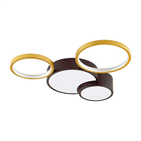 Купить Потолочный светодиодный светильник Lumion Ledio Norbert 5255/64CL в Туле