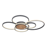 Купить Потолочный светодиодный светильник Globo Nirra 67256-60 в Туле