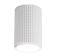 Купить Потолочный светильник Elektrostandard Spike DLN112 GU10 белый a048144 в Туле