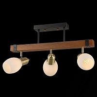 Купить Потолочная люстра Illumico IL9724-3CSQ-79 BK AB WD в Туле