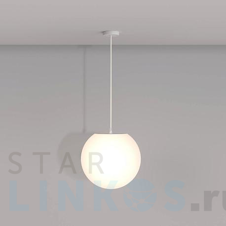 Купить Подвесной светильник Maytoni Erda O594PL-01W за 8 990 руб. в Туле фото 2 Купить с доставкой Подвесной светильник Maytoni Erda O594PL-01W в Туле фото 2