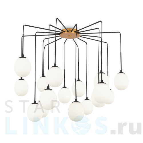 Купить Подвесная люстра Maytoni Branch MOD176PL-16G за 41 590 руб. в Туле Купить с доставкой Подвесная люстра Maytoni Branch MOD176PL-16G в Туле