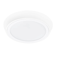 Купить Потолочный светодиодный светильник Lightstar Urbano 216902 в Туле