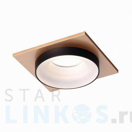 Купить Встраиваемый светильник Favourite Diversa 2887-1C за 2 600 руб. в Туле фото 2 Купить с доставкой Встраиваемый светильник Favourite Diversa 2887-1C в Туле фото 2