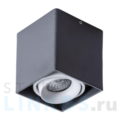Купить Потолочный светильник Arte Lamp Pictor A5654PL-1BK за 730 руб. в Туле Купить с доставкой Потолочный светильник Arte Lamp Pictor A5654PL-1BK в Туле